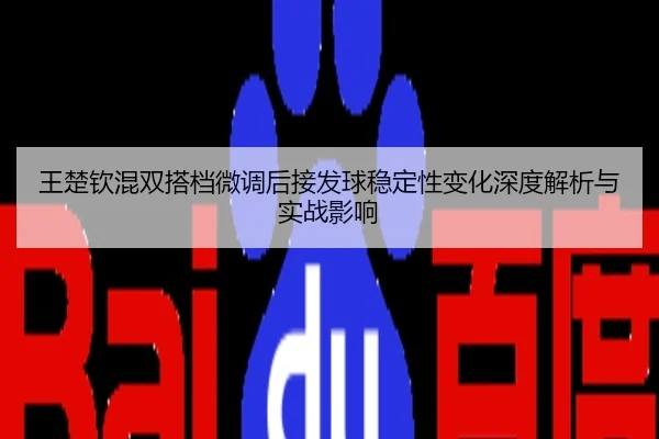 王楚钦混双搭档微调后接发球稳定性变化深度解析与实战影响